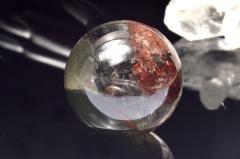 �y�P�_���z���z���i �K�[�f���N�H�[�c(�뉀����)�@26mm�@�ۋ�(����t��) �X�t�B�A ���N�^�E���^�E�d���^_CG6538�y��}�ւ̂݁z