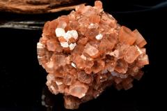 �y�P�_���z�����b�R�Y �A���S�i�C�g(�Ő�)�@68x65x52mm�@���� �����^_CG6768�y��}�ւ̂݁z