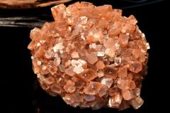 �y�P�_���z�����b�R�Y �A���S�i�C�g(�Ő�)�@75x65x42mm�@���� �����^_CG6769�y��}�ւ̂݁z