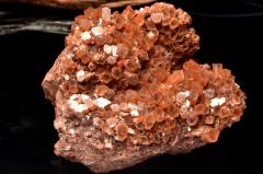 �y�P�_���z�����b�R�Y �A���S�i�C�g(�Ő�)�@75x62x53mm�@���� �����^_CG6773�y��}�ւ̂݁z