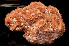 �y�P�_���z�����b�R�Y �A���S�i�C�g(�Ő�)�@85x62x53mm�@���� �����^_CG6774�y��}�ւ̂݁z