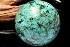 �y�P�_���z�󏭁��V�R �^�[�R�C�Y�@66mm�@�ۋ�(����t��) �X�t�B�A ���_CG6871�y��}�ւ̂݁z