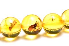 �y�P�_���z�S�����������ׁI ���������߃A���o�[�@7mm�@�u���X���b�g ���N�^�E���^�E�d���^�y�l�R�|�X���������z_MC3932