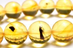 �y�P�_���z�S�����������ׁI ���������߃A���o�[�@9.5mm�@�u���X���b�g ���N�^�E���^�E�d���^�y�l�R�|�X���������z_MC5040