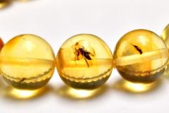 �y�P�_���z�S�����������ׁI ���������߃A���o�[�@9.5mm�@�u���X���b�g ���N�^�E���^�E�d���^�y�l�R�|�X���������z_MC5041