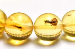 �y�P�_���z�S�����������ׁI ���������߃A���o�[�@9.5mm�@�u���X���b�g ���N�^�E���^�E�d���^�y�l�R�|�X���������z_MC5042