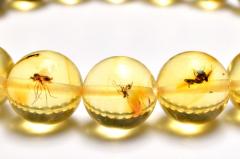 �y�P�_���z�S�����������ׁI ���������߃A���o�[�@9.5mm�@�u���X���b�g ���N�^�E���^�E�d���^�y�l�R�|�X���������z_MC5043