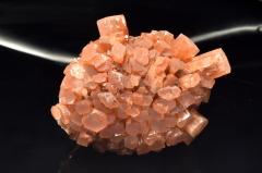 �y�P�_���z�����b�R�Y �A���S�i�C�g(�Ő�)�@51x35x38mm�@���� �����^_CG7191�y��}�ւ̂݁z