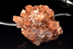 �y�P�_���z�����b�R�Y �A���S�i�C�g(�Ő�)�@60x49x38mm�@���� �����^_CG7192�y��}�ւ̂݁z