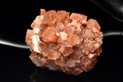 �y�P�_���z�����b�R�Y �A���S�i�C�g(�Ő�)�@43x49x46mm�@���� �����^_CG7193�y��}�ւ̂݁z