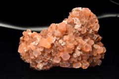 �y�P�_���z�����b�R�Y �A���S�i�C�g(�Ő�)�@60x44x37mm�@���� �����^_CG7195�y��}�ւ̂݁z