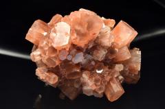 �y�P�_���z�����b�R�Y �A���S�i�C�g(�Ő�)�@55x47x46mm�@���� �����^_CG7196�y��}�ւ̂݁z