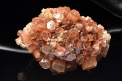 �y�P�_���z�����b�R�Y �A���S�i�C�g(�Ő�)�@65x45x48mm�@���� �����^_CG7198�y��}�ւ̂݁z