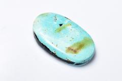 �y�P�_���z�V�R�������F �^�[�R�C�Y�@24x16mm�@�I�[�o�� ���[�X ���_PD123