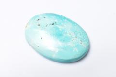 �y�P�_���z�V�R�������F �^�[�R�C�Y�@30x23mm�@�I�[�o�� ���[�X ���_PD124