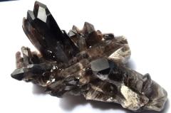 �y�P�_���z�򉻂▂������ �����������I���@151x85x62mm�@�N���X�^�[ ���� ���_CG7369�y��}�ւ̂݁z