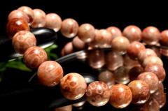 �V�R�ԕ��������F �t�H�b�V���R�[�����@9mm�@�u���X���b�g 1���� _BG6457-9