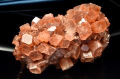 �y�P�_���z�y���[�Y �A���S�i�C�g(�Ő�)�@68x40x37mm�@���� �����^_CG7420�y��}�ւ̂݁z