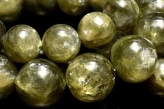 �_��̋P�� �O���[���S�[���f���}�C�J�@7.5mm�@�u���X���b�g 1���� _BG6482-75