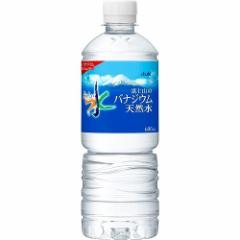  xmR̃oiWEVR(600ml*24{)[oiWE]