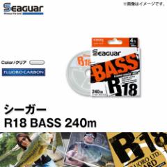 Nn@V[K[ R18oX(BASS) 240m (3-6lb)