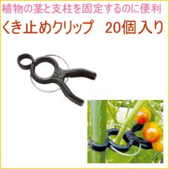 �����~�߃N���b�v 20���� �؉� �� �� �ƒ�p �x�� �͔| �� ��� �h�~ ����� �Œ� �s