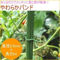 ���炩�o���h �O�a2.5mm�~5m �؉� �� �� �ƒ�p �x�� �͔| �� ��� �h�~ �Œ� �⏕ �s �c ���� �ȒP