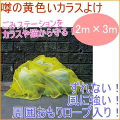 �\�̉��F���J���X�悯 2m�~3m �h�� �h�b �h�� �S�~�W�� �S�~�X�e�[�V���� �J���X�悯�l�b�g �J���X�悯�l�b�g �J���X�l�b�g