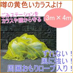 �\�̉��F���J���X�悯 3m�~4m �h�� �h�b �h�� �S�~�W�� �S�~�X�e�[�V���� �J���X�悯�l�b�g �J���X�悯�l�b�g �J���X�l�b�g