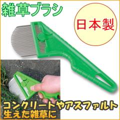 �G���u���V �iNo2510�j ���{�� �� ���� ���ԏ� ����� ���� �G�� �^���V �R���N���[�g �A�X�t�@���g �~�� �^���V 