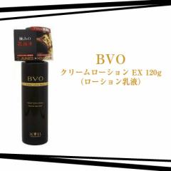 BVO@N[[V@EX@120g@i[Vtj big_bc