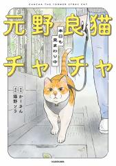 元野良猫チャチャ本日も見まわり中/かーさん/猫野ソラ