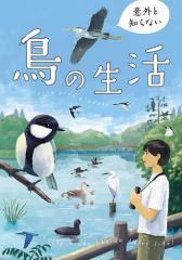 中古】 ながされて藍蘭島パーフェクトガイドブック (Guide book