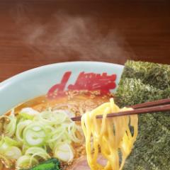 山岡家 【正規販売店】 ラーメン 特製味噌(乾麺) 5食入り 山岡家の味がインスタントに! 北海道 札幌 ラーメン