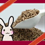 【お買い得】☆ネイチャーブリードオリジナル☆Tree Beadsうさぎの トイレ砂 10kg入り 【業務用】【多頭飼いさん用】【うさぎ 牧草