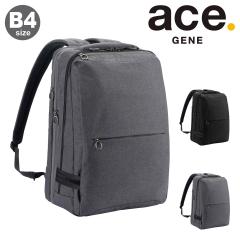 yr[e+5ҌzG[XW[ rWlXbN B4 15.6C` Y zo[Cg2 67617 ace.GENE | bN rWlXo