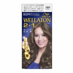 �y��򕔊O�i�z�E�G���g�[��2�{1�i�c�[�v���X�����j�t��^�C�v 8GM A��43ml B�� 86ml �G�b�Z���X5.5ml