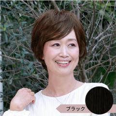 �v���V�� �v���~�A�������������E�B�b�O �u���b�N �y�����i�z �ԕi�E�L�����Z���E�����i�Ɠ����w���͕s��   