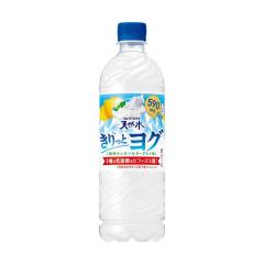 ���T���g���[ ������ƃ��O �����������[�O���g�� 590ml   �y24�Z�b�g�z