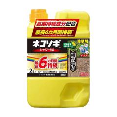 �i�_�j���C���{�[��i �l�R�\�M�V�����[V6 2L  