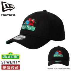 ir[+5%bj[G ZT~Xg[g Lbv Xq Y fB[X uh 9TWENTY NEW ERA SESAME STREET
