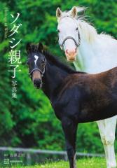 単行本】 坂上桂子 / 都市のコラージュ 美術・生活・歴史 送料無料の