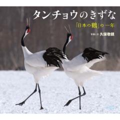 書籍]/猛禽類学/DavidM.Bird KeithL.Bildstein 山崎亨/NEOBK-755531の