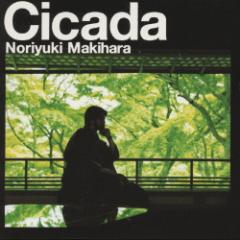 Cicada/ꠌhV[CD]ʏՁyԕiAz