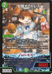 2025年最新】森の飛忍モモンガジロウの人気アイテム - メルカリ
