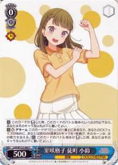 ヴァイスシュヴァルツ 青春ブタ野郎はバニーガール先輩の夢を見ない