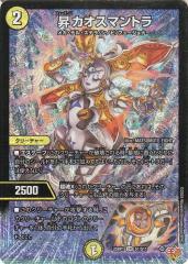 遊戯王カード 超究極魔導竜王(25th シークレットレア) ALLIANCE