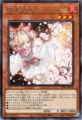 遊戯王カード マイティガード(ノーマル) RISE OF DESTINY（RDS