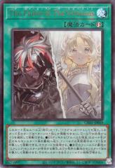 ヴァンガード 幻真星戦 LettiaMateS ディルアーシュ(FFR) DZ-BT13