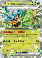 デュエルマスターズ 大神秘イダ デュエマ】 大神秘イダ(P50/Y10) 第10期/プロモ の通販 - カーナベル